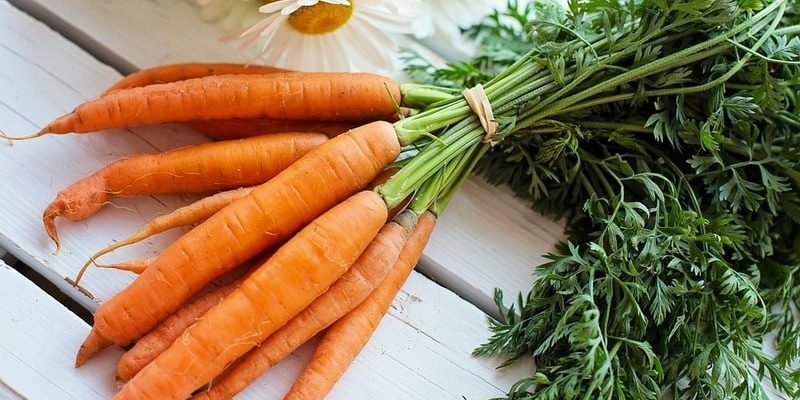 История о «Морковном пироге»